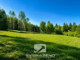 Prodej pole, Josefův Důl, 6990 m2