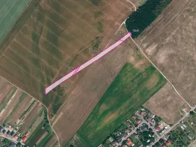 Prodej pole, Kuchařovice, 5868 m2