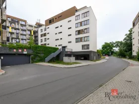 Pronájem bytu 2+kk, Plzeň - Východní Předměstí, Pallova, 56 m2
