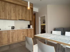 Prodej bytu 2+kk, Dolní Morava, 44 m2