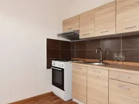 Pronájem bytu 1+1, Chomutov, Písečná, 35 m2