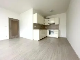 Pronájem bytu 2+kk, Karlovy Vary, Svatošská, 69 m2