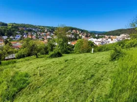 Prodej pozemku pro bydlení, Luhačovice, Branka, 1833 m2