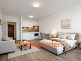 Pronájem bytu 1+kk, Orlová - Lutyně, Masarykova třída, 26 m2