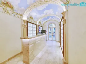 Pronájem obchodního prostoru, Karlovy Vary, Zámecký vrch, 20 m2