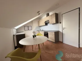 Pronájem bytu 2+kk, České Budějovice, J. Š. Baara, 57 m2