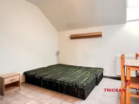 Pronájem bytu 1+kk, Hradec Králové - Plotiště nad Labem, 17 m2