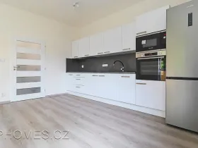 Pronájem bytu 2+kk, Praha - Nusle, Petra Rezka, 51 m2