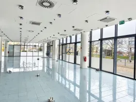 Pronájem obchodního prostoru, Praha, Siemensova, 262 m2