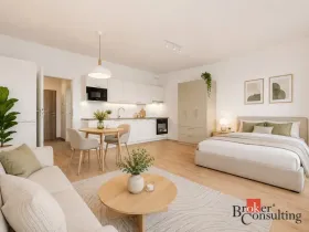 Prodej bytu 1+kk, Plzeň - Jižní Předměstí, Železná, 36 m2