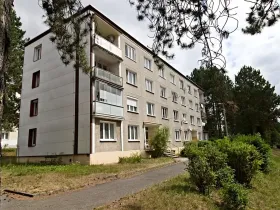 Pronájem bytu 2+1, Domažlice, Palackého, 50 m2