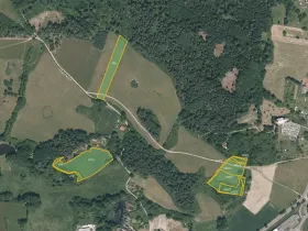 Prodej louky, Pačejov, 13638 m2