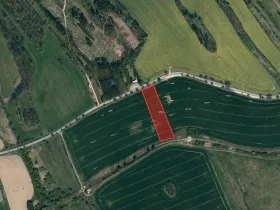 Prodej pole, Dolní Cerekev, 7930 m2