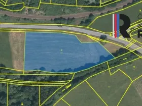 Prodej pole, Pocinovice, 11230 m2