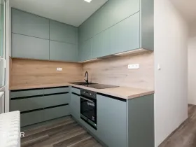 Prodej bytu 1+1, Opava, Zeyerova, 35 m2
