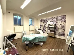 Pronájem komerční nemovitosti, Ústí nad Labem - Ústí nad Labem-centrum, Thomayerova, 50 m2