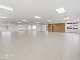 Pronájem obchodního prostoru, Opava, Rybářská, 160 m2
