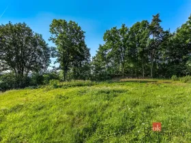 Prodej pozemku, Horšovský Týn - Plzeňské Předměstí, Plzeňská, 1256 m2