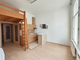 Pronájem bytu 1+kk, České Budějovice, Riegrova, 25 m2
