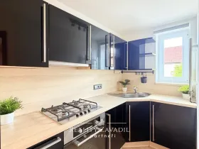 Prodej bytu 3+1, Pardubice, Sezemická, 58 m2