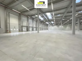 Pronájem výrobních prostor, Havraň, 46000 m2