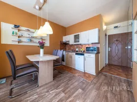 Prodej bytu 1+1, České Budějovice - České Budějovice 2, J. Opletala, 36 m2