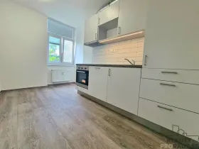 Pronájem bytu 1+1, Brno, Bratislavská, 33 m2