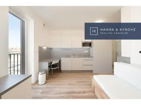 Pronájem bytu 1+kk, Brno, Křenová, 20 m2