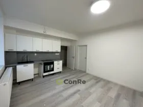 Pronájem bytu 1+kk, Mnichovo Hradiště, Havlíčkova, 32 m2