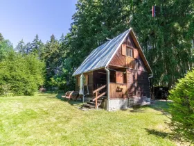 Prodej chaty, Suchá - Beranovec, 42 m2
