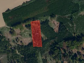 Prodej lesa, Kaliště, 5121 m2
