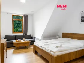 Prodej bytu 1+kk, Horní Lhota, 20 m2