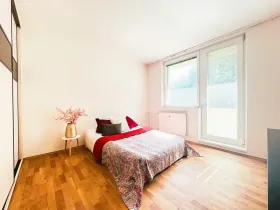 Pronájem bytu 1+kk, Brno, Jedovnická, 20 m2