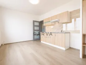 Prodej bytu 1+kk, Plzeň - Jižní Předměstí, U Borského parku, 21 m2