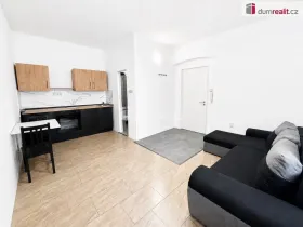 Pronájem bytu 1+kk, Ústí nad Labem - Ústí nad Labem-centrum, Emy Destinové, 21 m2