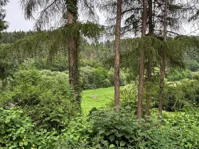 Prodej chaty, Doudleby, 75 m2