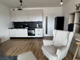 Pronájem bytu 1+kk, Beroun, U Židovského hřbitova, 29 m2