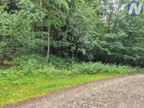 Prodej pozemku, Prachatice, 23991 m2