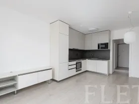 Pronájem bytu 2+kk, Praha - Žižkov, Hartigova, 47 m2