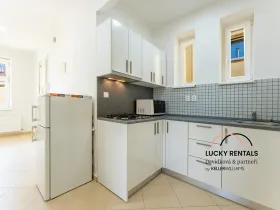 Pronájem bytu 1+kk, Praha - Vinohrady, Moravská, 49 m2