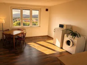 Pronájem bytu 1+1, Ostrov, Kollárova, 38 m2