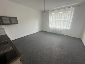 Pronájem bytu 1+kk, Praha - Michle, Nuselská, 35 m2