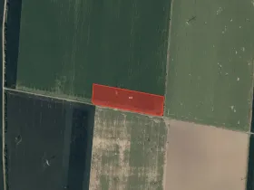 Prodej pole, Kyselovice, 8330 m2