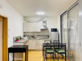 Pronájem bytu 2+kk, Praha - Žižkov, Olšanská, 50 m2