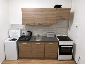 Pronájem bytu 2+1, Ústí nad Labem - Neštěmice, Železná, 53 m2
