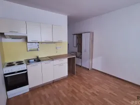 Pronájem bytu 1+1, Ústí nad Labem, Šípková, 32 m2