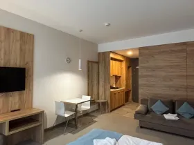 Prodej apartmánu, Dolní Morava, 29 m2