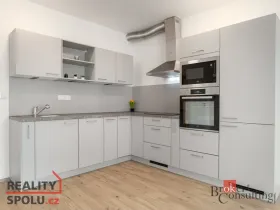 Prodej bytu 2+kk, Plzeň - Jižní Předměstí, Železná, 81 m2