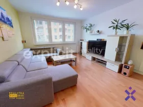 Pronájem bytu 3+1, Uherský Brod, Sídl. Olšava, 68 m2