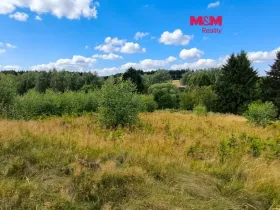 Prodej louky, Mikuleč, 748 m2